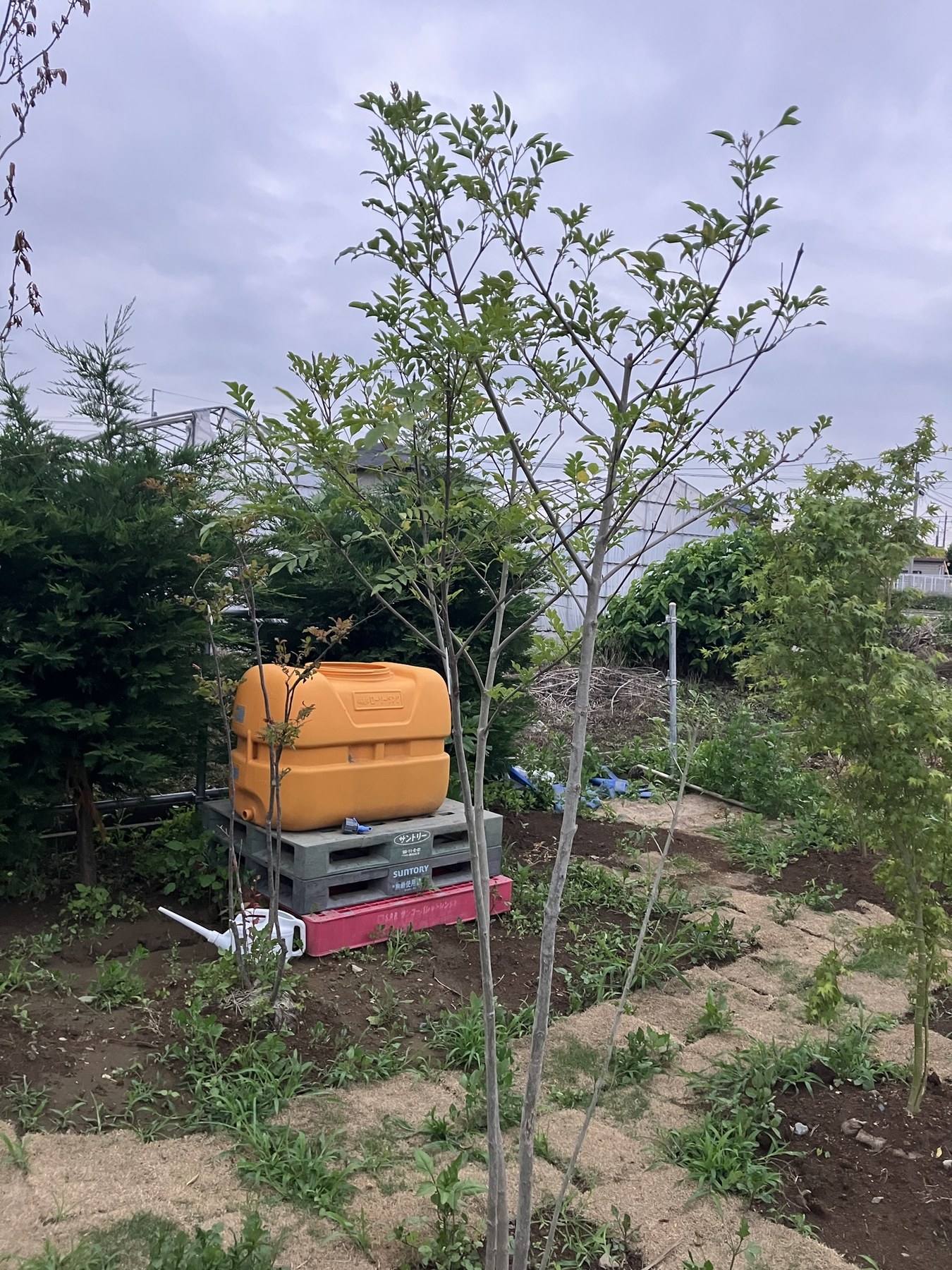 株式会社栗木屋