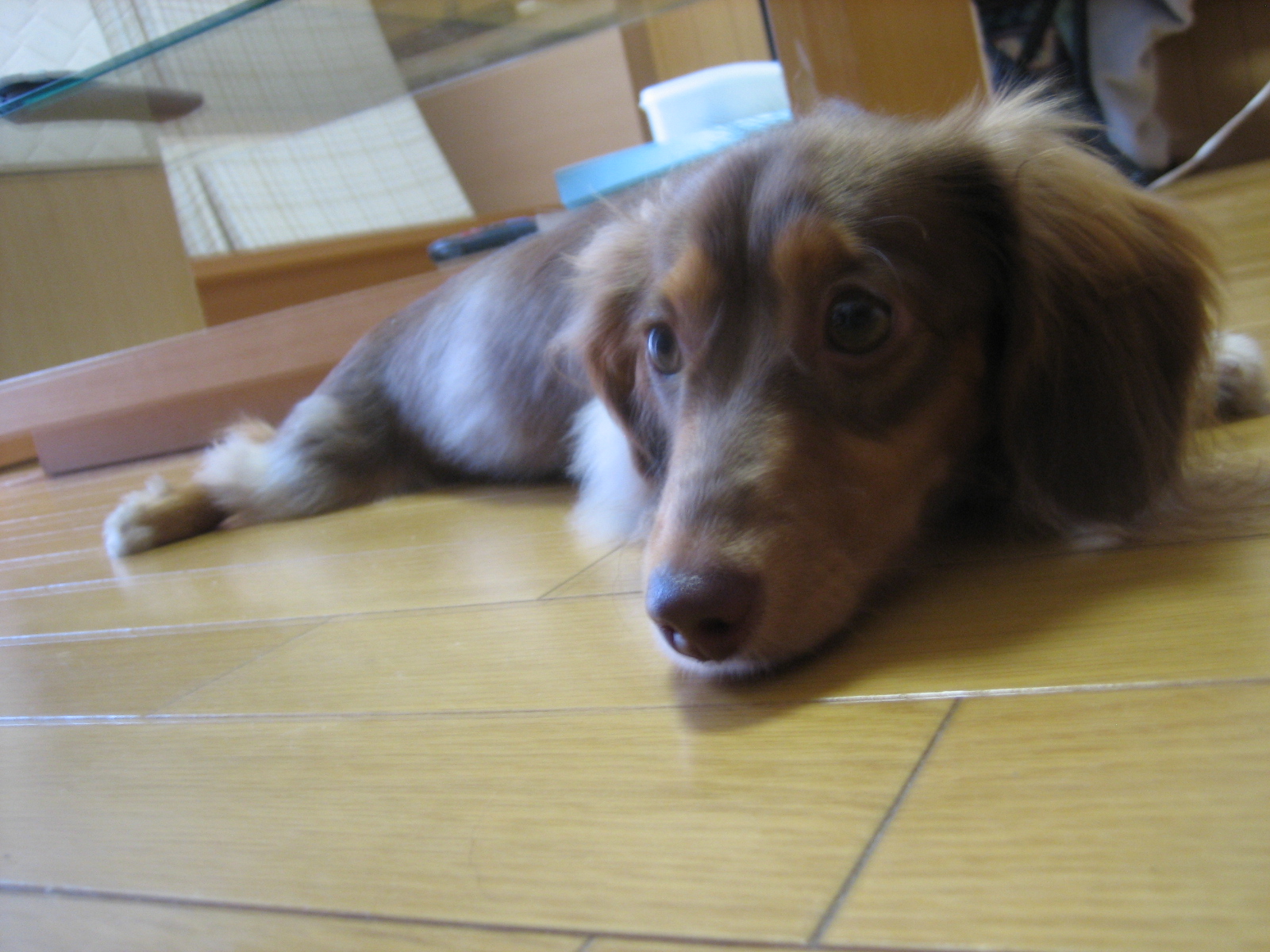 株式会社栗木屋