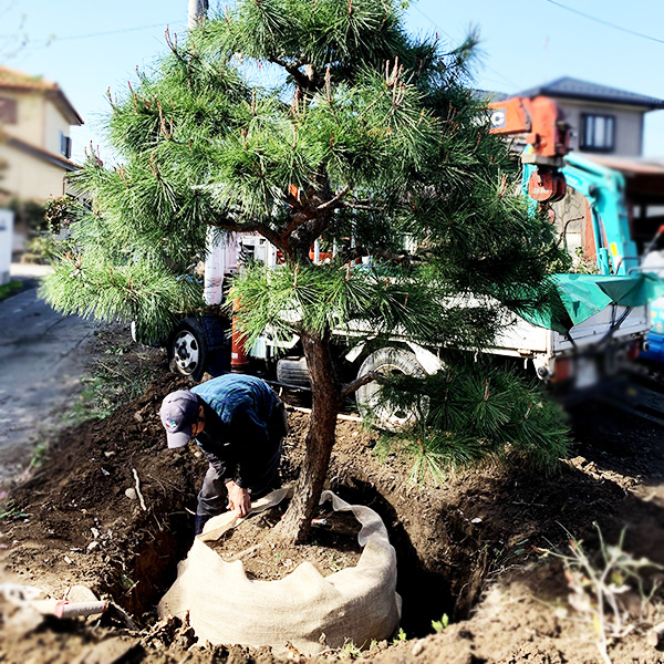 造園・植栽工事